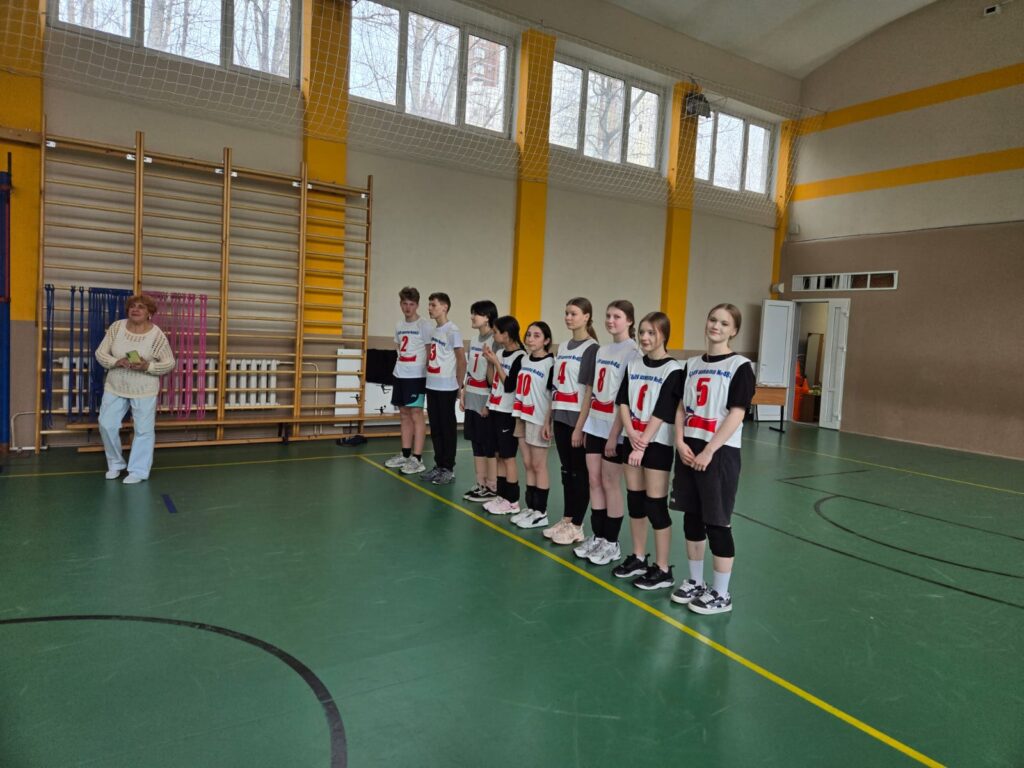 Товарищеские встречи волейбольной команды школы 485 со школой 643