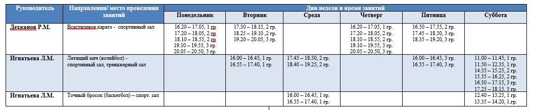 Школьный спортивный клуб "Форсаж"