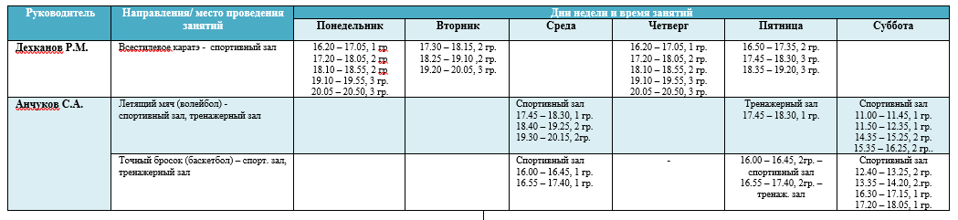 Школьный спортивный клуб "Форсаж"
